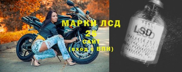 ГАЛЛЮЦИНОГЕННЫЕ ГРИБЫ Алзамай