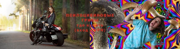 ГАЛЛЮЦИНОГЕННЫЕ ГРИБЫ Алзамай