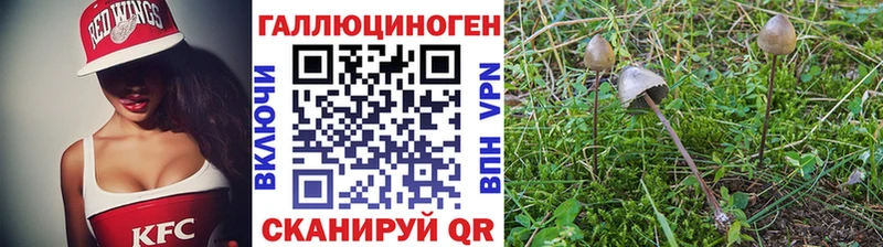 KRAKEN сайт  где купить наркоту  Анжеро-Судженск  Псилоцибиновые грибы Psilocybine cubensis 